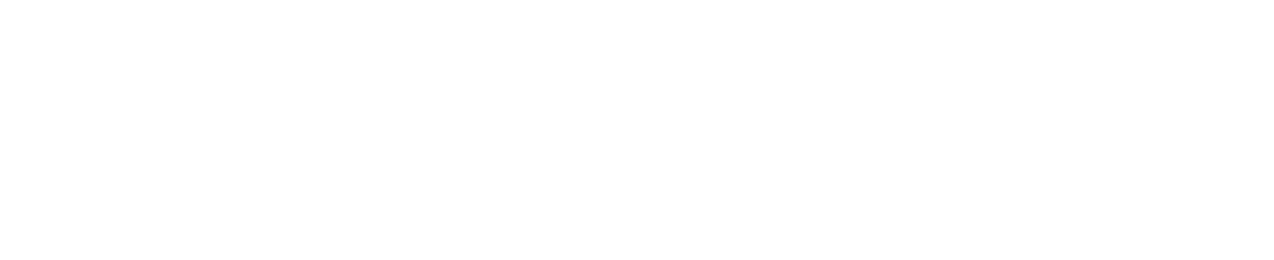 Netskope